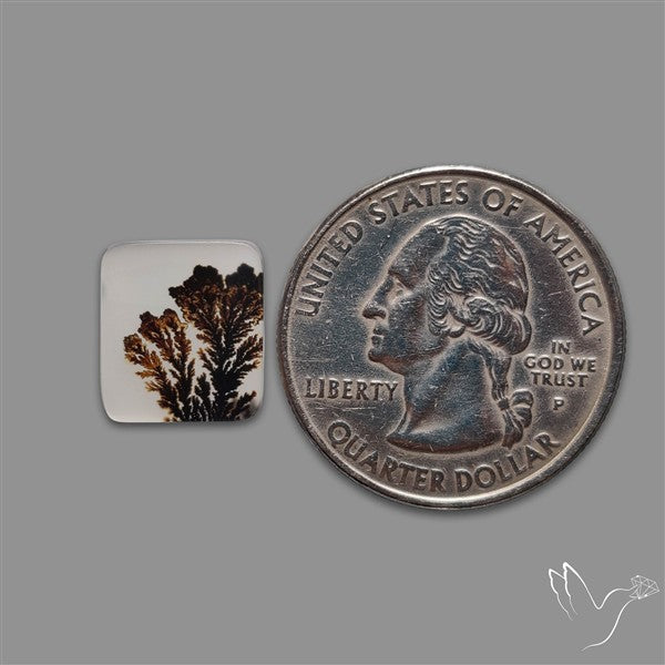 Scenic Agate Cabochon