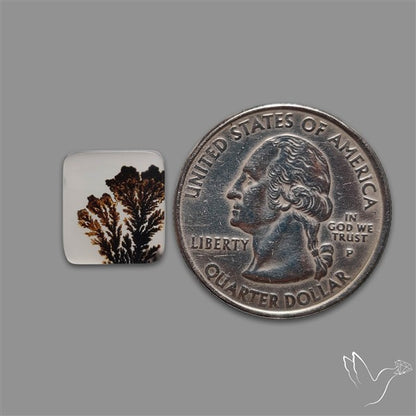 Scenic Agate Cabochon