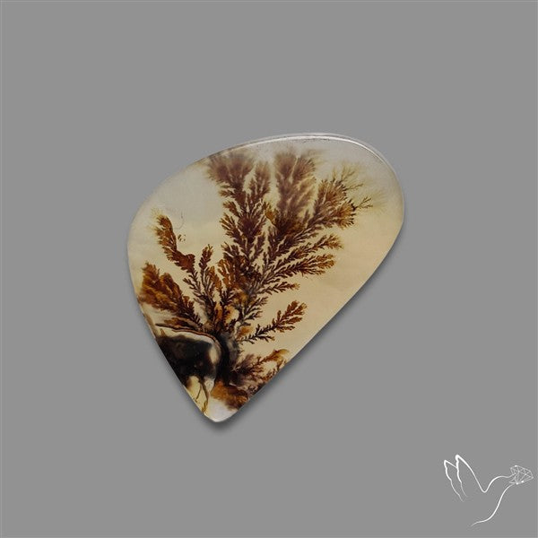 Scenic Agate Cabochon
