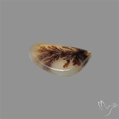 Scenic Agate Cabochon