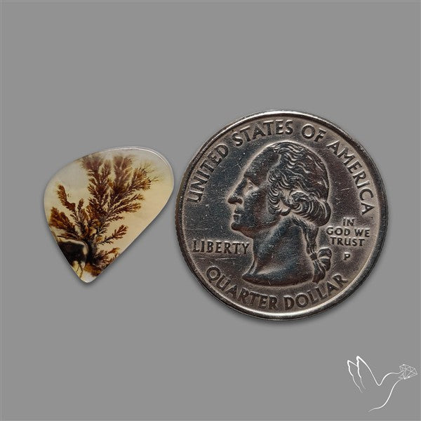 Scenic Agate Cabochon