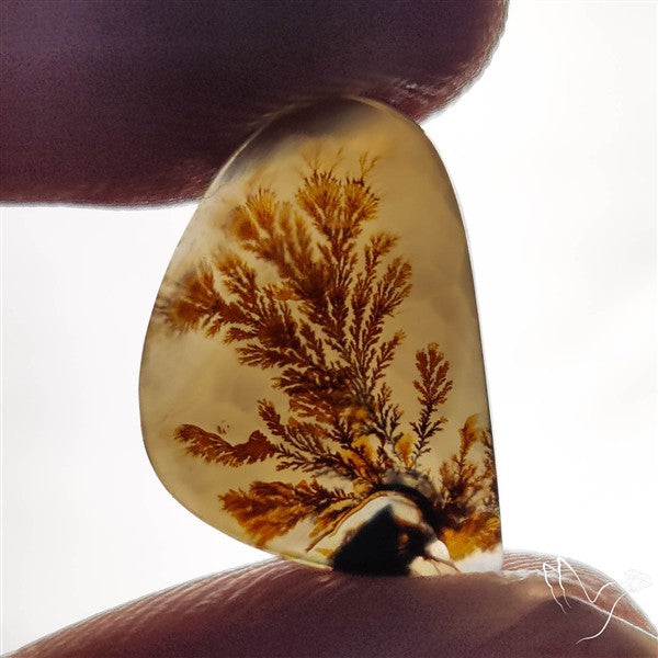 Scenic Agate Cabochon