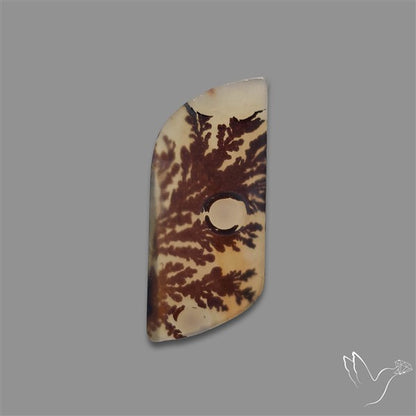 Scenic Agate Cabochon