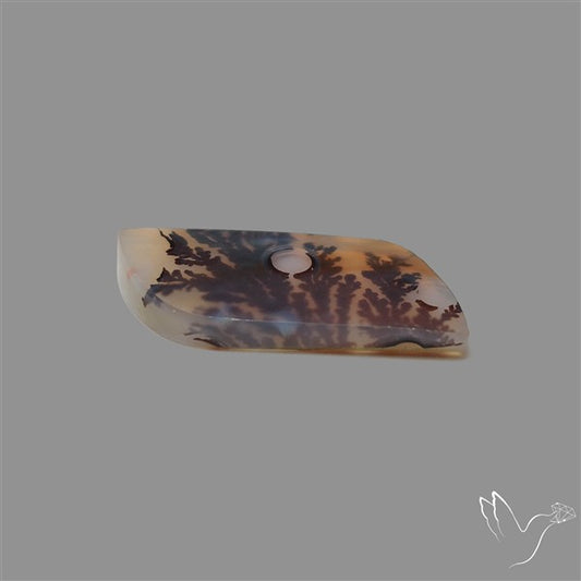 Scenic Agate Cabochon