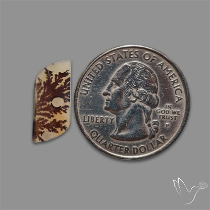 Scenic Agate Cabochon