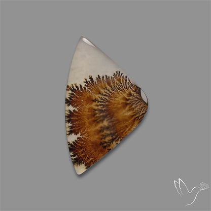 Scenic Agate Cabochon