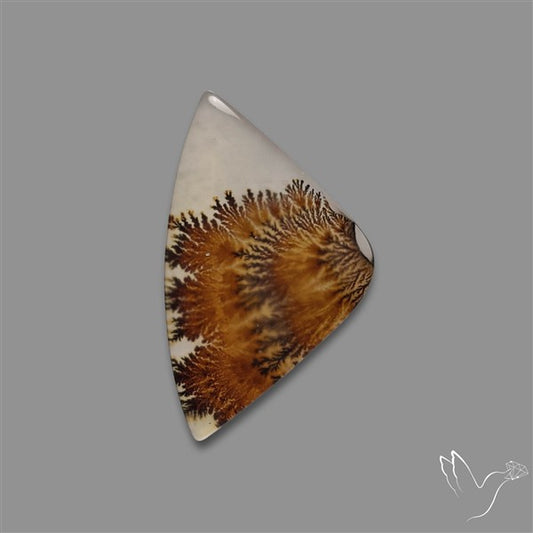 Scenic Agate Cabochon
