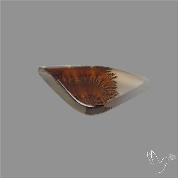 Scenic Agate Cabochon