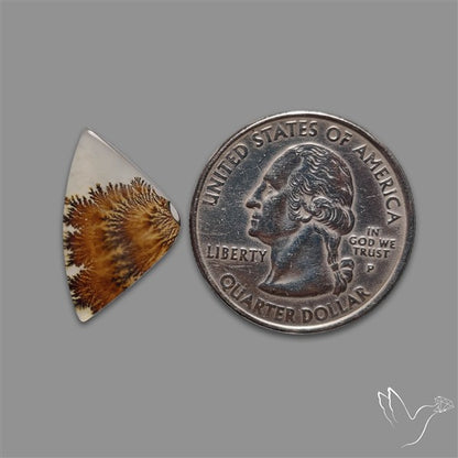 Scenic Agate Cabochon