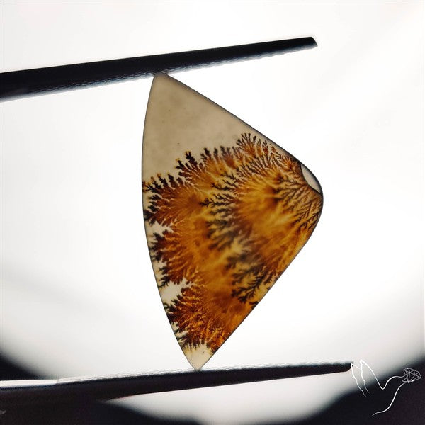 Scenic Agate Cabochon