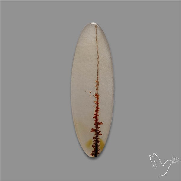 Scenic Agate Cabochon