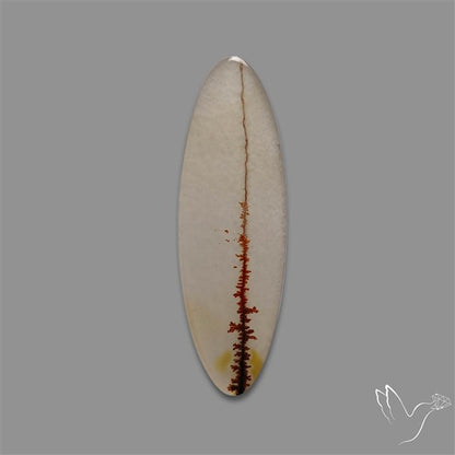Scenic Agate Cabochon