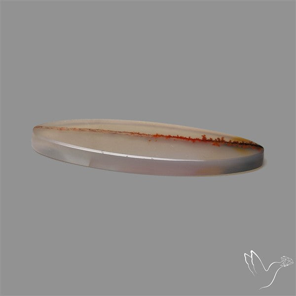 Scenic Agate Cabochon
