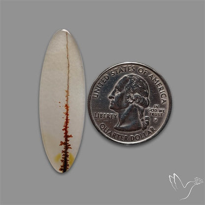 Scenic Agate Cabochon