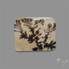 Scenic Agate Cabochon