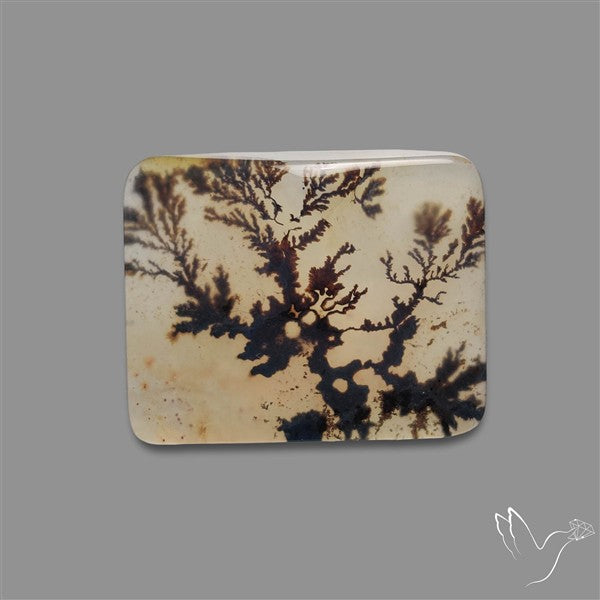 Scenic Agate Cabochon