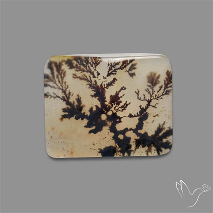 Scenic Agate Cabochon