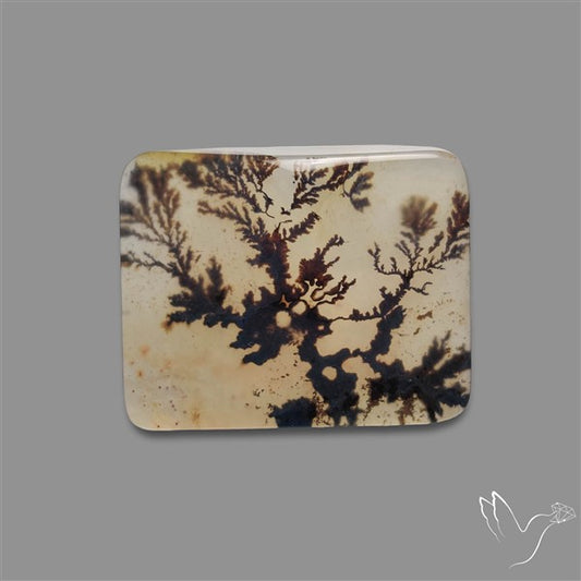 Scenic Agate Cabochon