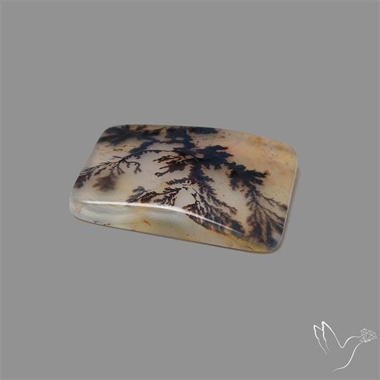 Scenic Agate Cabochon