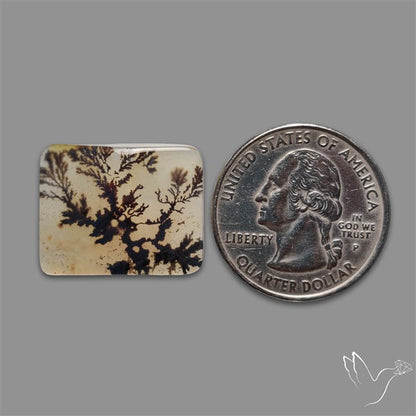 Scenic Agate Cabochon