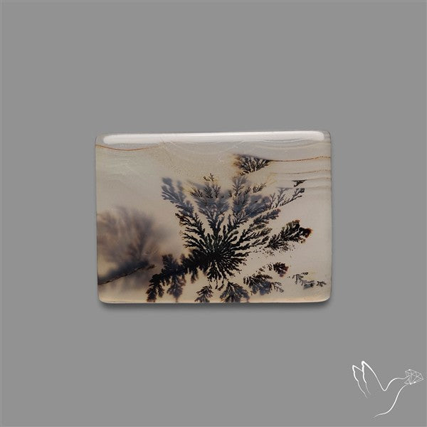 Scenic Agate Cabochon