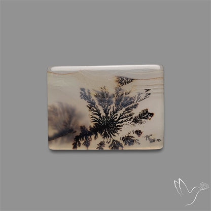 Scenic Agate Cabochon