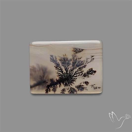 Scenic Agate Cabochon