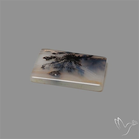 Scenic Agate Cabochon