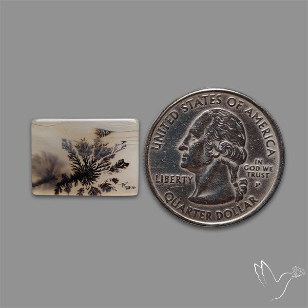 Scenic Agate Cabochon