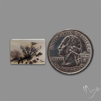 Scenic Agate Cabochon