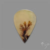 Scenic Agate Cabochon