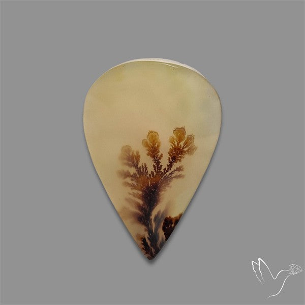 Scenic Agate Cabochon