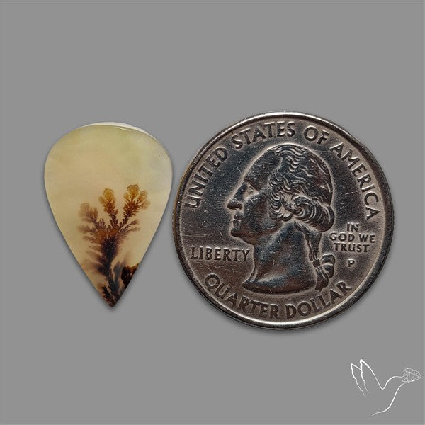 Scenic Agate Cabochon
