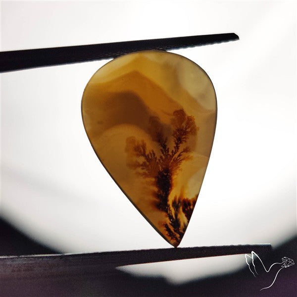 Scenic Agate Cabochon