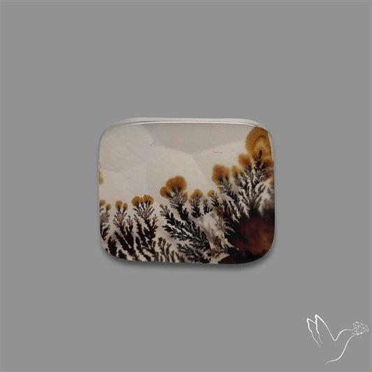Scenic Agate Cabochon