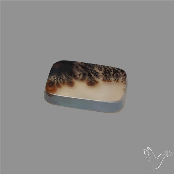 Scenic Agate Cabochon