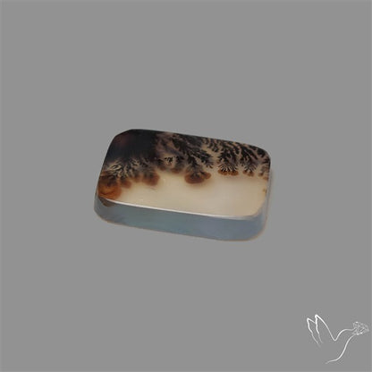 Scenic Agate Cabochon