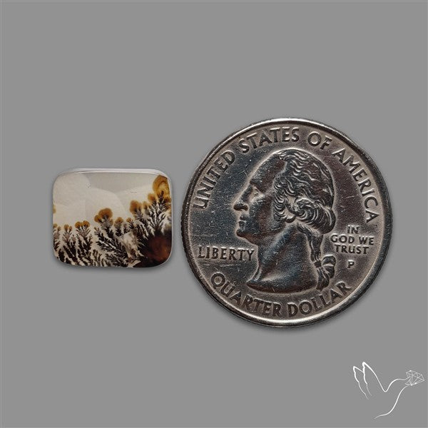 Scenic Agate Cabochon