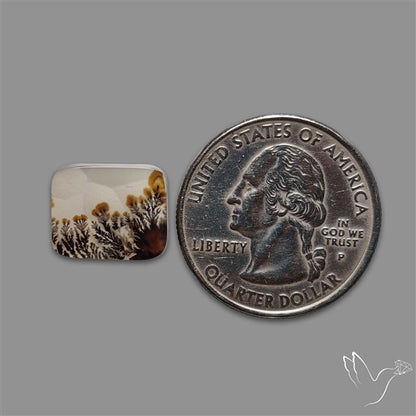 Scenic Agate Cabochon