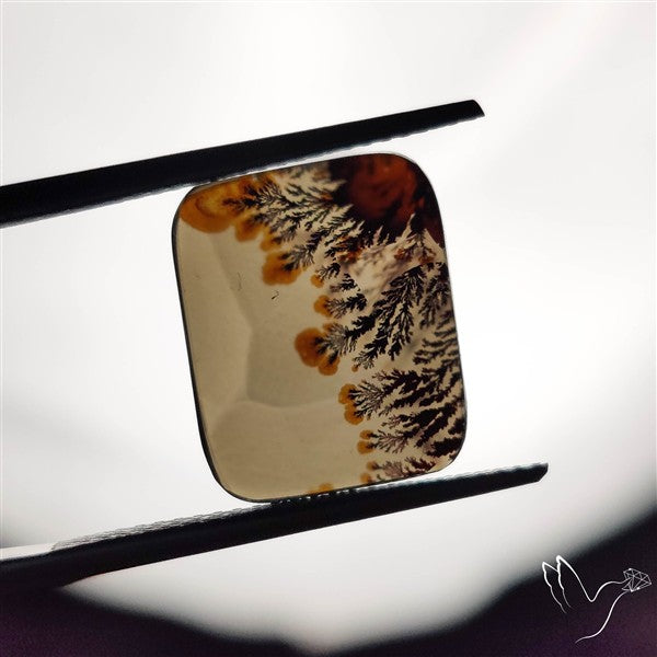 Scenic Agate Cabochon