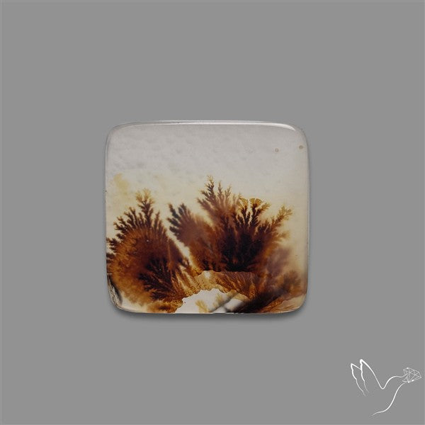 Scenic Agate Cabochon