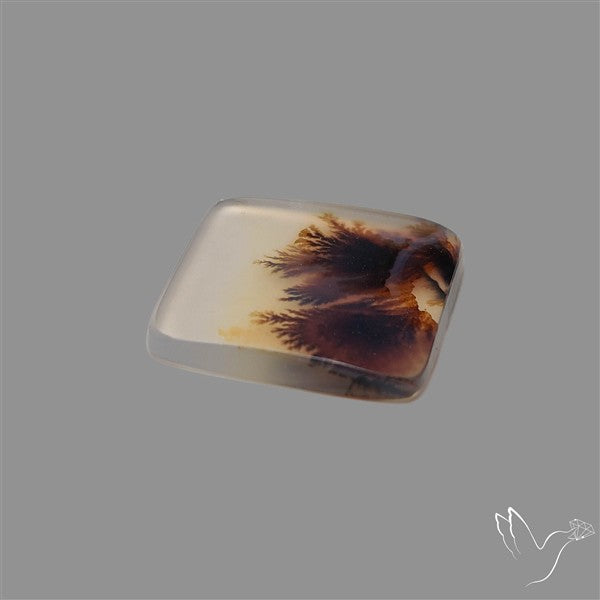 Scenic Agate Cabochon