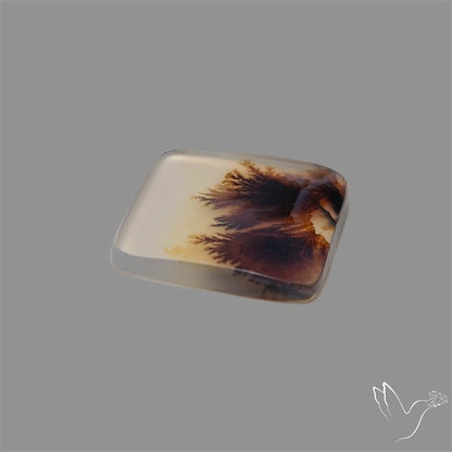 Scenic Agate Cabochon