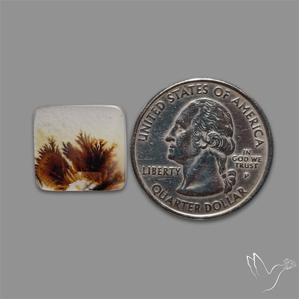 Scenic Agate Cabochon