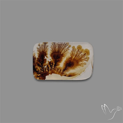 Scenic Agate Cabochon
