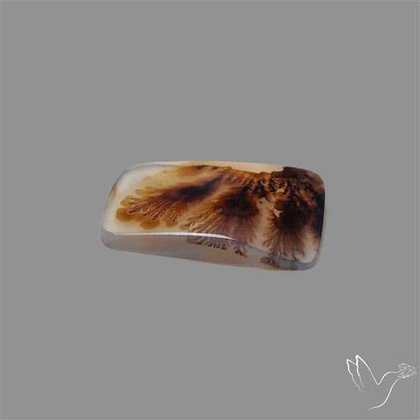Scenic Agate Cabochon