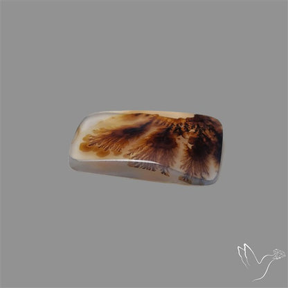 Scenic Agate Cabochon