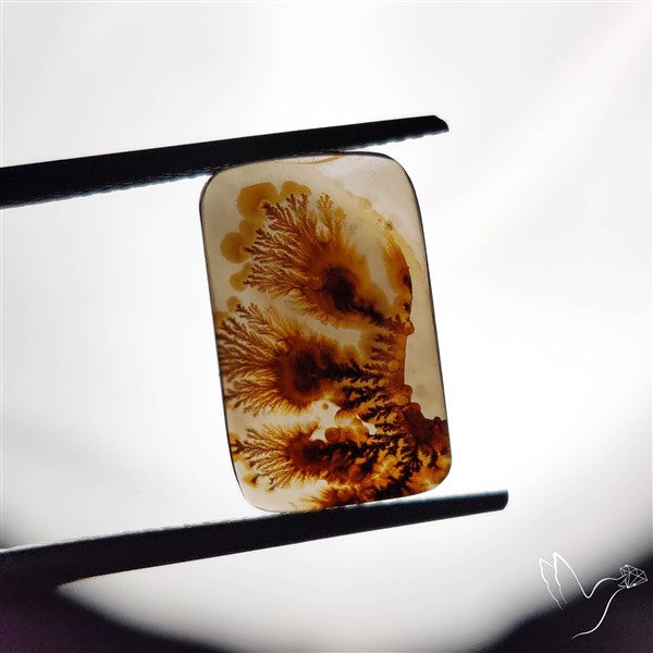 Scenic Agate Cabochon