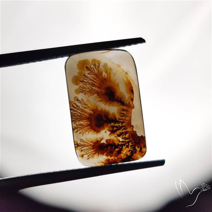 Scenic Agate Cabochon