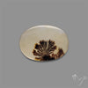 Scenic Agate Cabochon